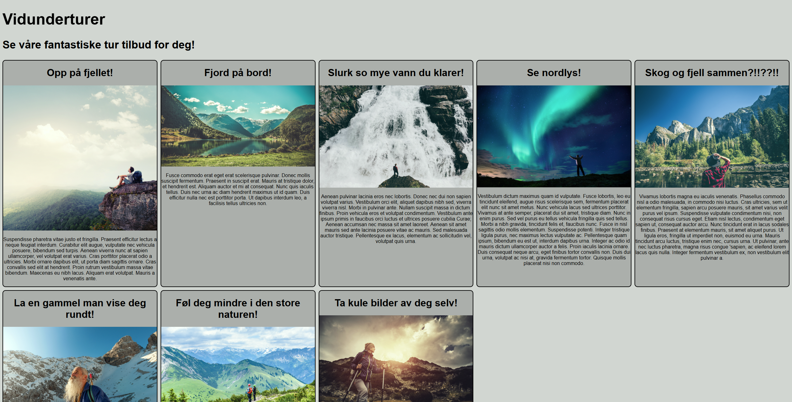 Vidunderturer prosjektbilde